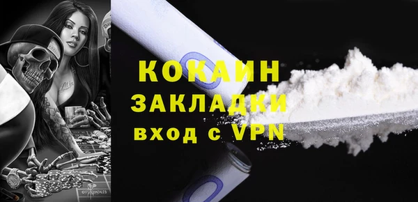 эйфоретик Богданович