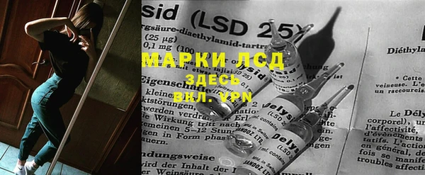 индика Богородицк