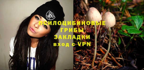 экстази Бородино